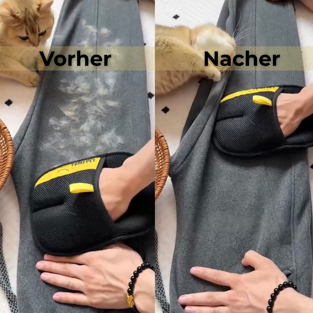 PawClean