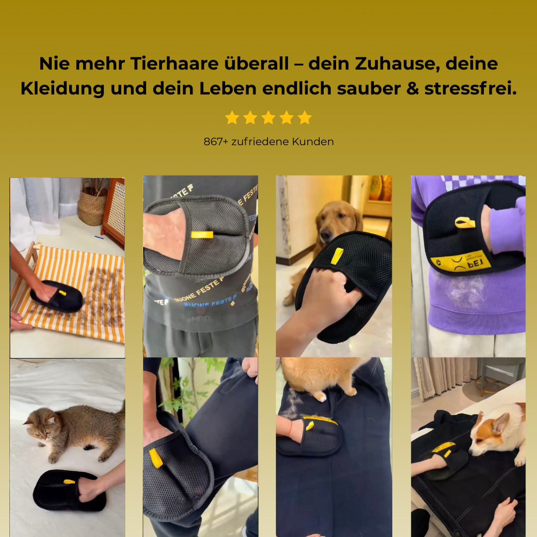 PawClean